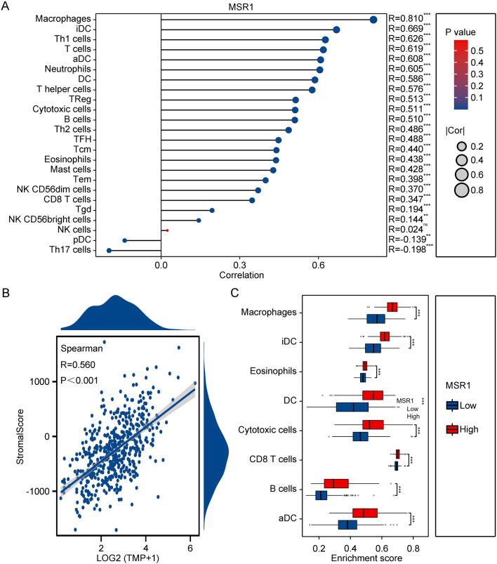 https://cdn.ncbi.nlm.nih.gov/pmc/blobs/cf5c/11534819/8ec14f04b57b/fgene-15-1483991-g009.jpg