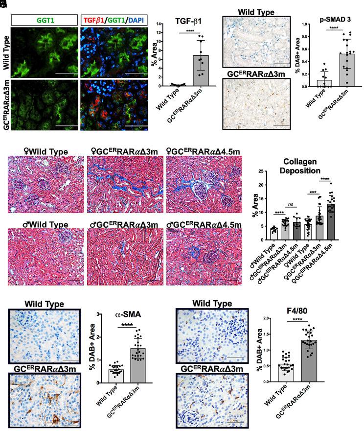 https://cdn.ncbi.nlm.nih.gov/pmc/blobs/cf5d/10873609/470599346aba/pnas.2311803121fig05.jpg