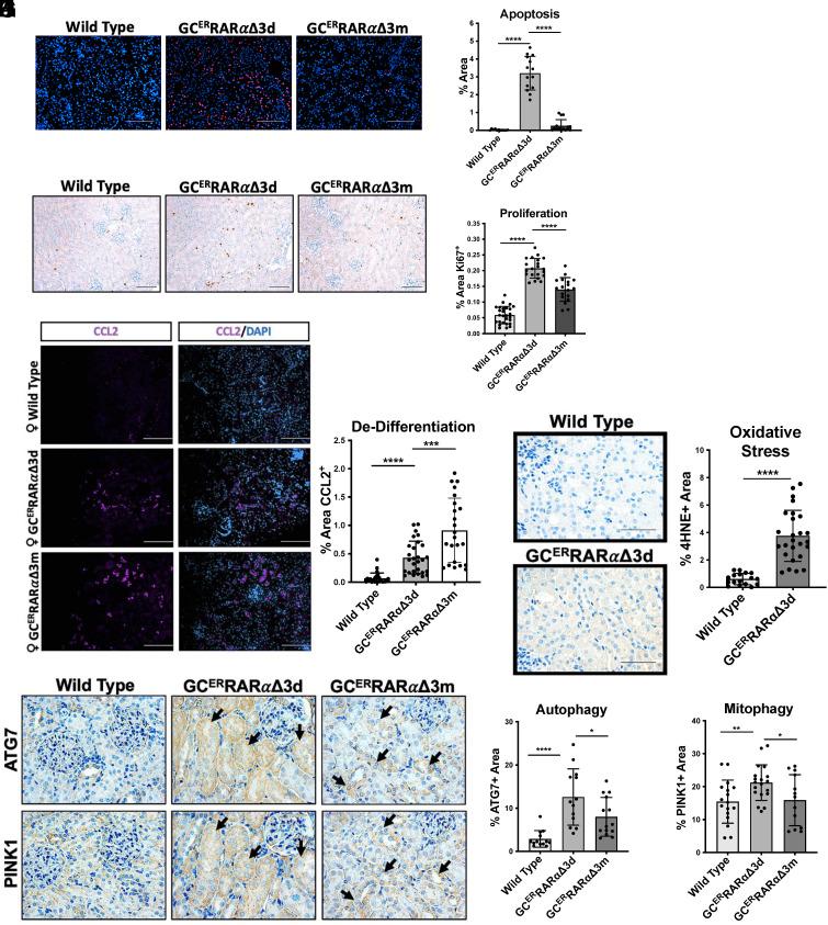 https://cdn.ncbi.nlm.nih.gov/pmc/blobs/cf5d/10873609/5912cd256250/pnas.2311803121fig02.jpg