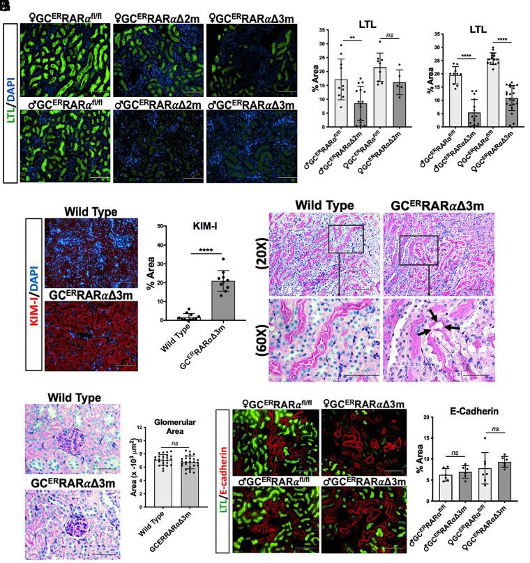 https://cdn.ncbi.nlm.nih.gov/pmc/blobs/cf5d/10873609/5cdbc1d941e6/pnas.2311803121fig04.jpg