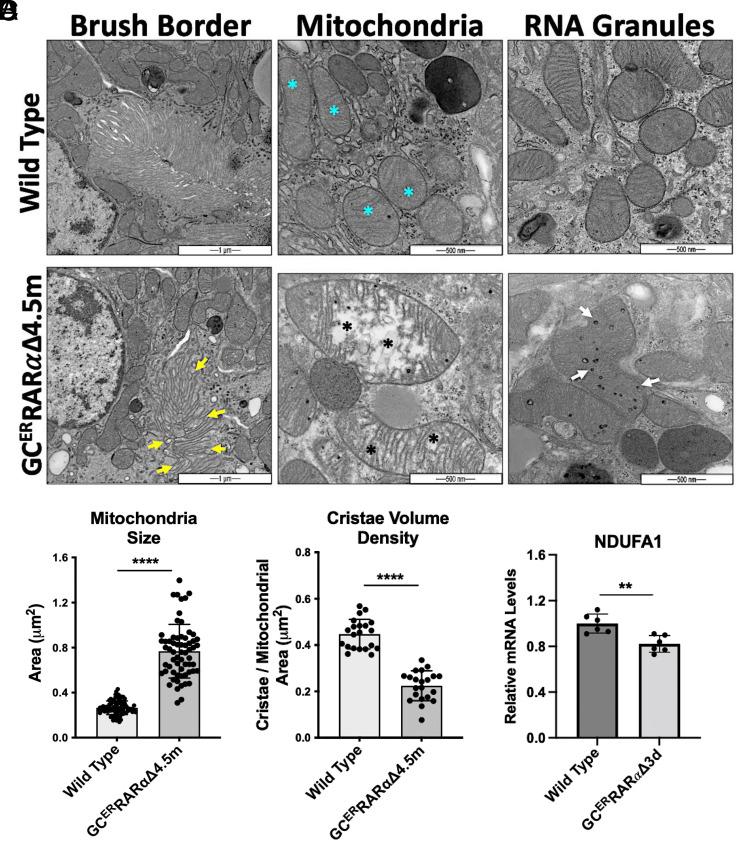 https://cdn.ncbi.nlm.nih.gov/pmc/blobs/cf5d/10873609/8adcb4493885/pnas.2311803121fig03.jpg
