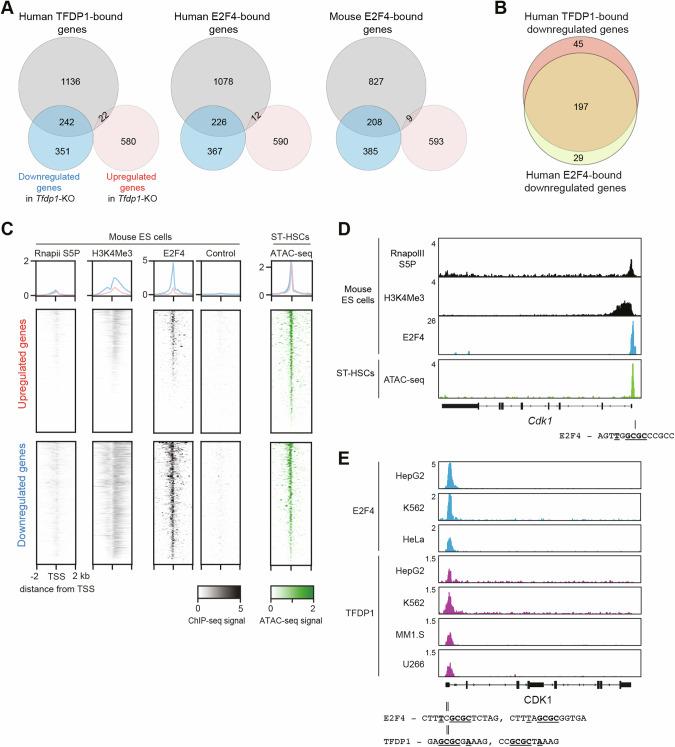 https://cdn.ncbi.nlm.nih.gov/pmc/blobs/cf5d/11347378/322521d428ba/41375_2024_2357_Fig7_HTML.jpg