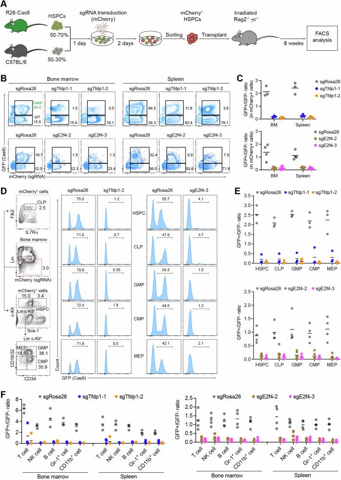 https://cdn.ncbi.nlm.nih.gov/pmc/blobs/cf5d/11347378/9b1cde8e4a23/41375_2024_2357_Fig4_HTML.jpg