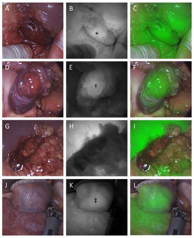 https://cdn.ncbi.nlm.nih.gov/pmc/blobs/cf61/8946640/134e8a72c5c2/cancers-14-01572-g001.jpg