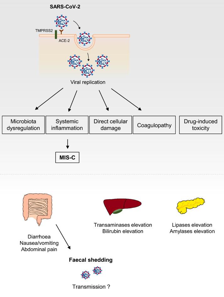 https://cdn.ncbi.nlm.nih.gov/pmc/blobs/cf67/8486685/673d2a97bbbd/gr1_lrg.jpg