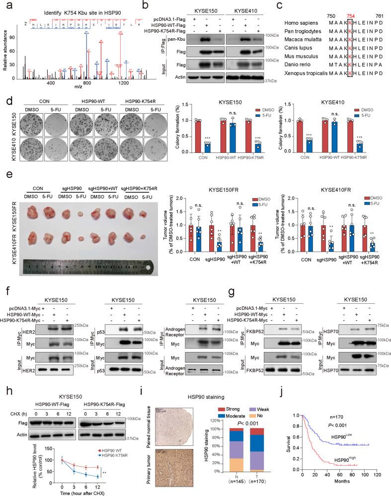 https://cdn.ncbi.nlm.nih.gov/pmc/blobs/cf69/10352258/55ec6b9d8b6a/41421_2023_570_Fig2_HTML.jpg