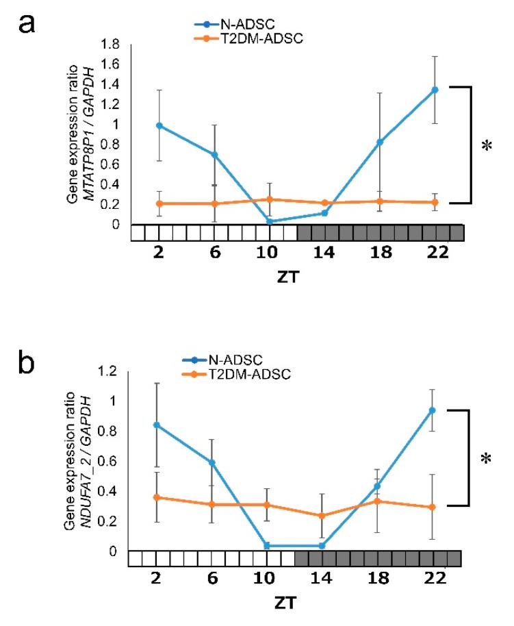 https://cdn.ncbi.nlm.nih.gov/pmc/blobs/cf6e/11641841/459385cad3ea/ijms-25-13145-g006.jpg