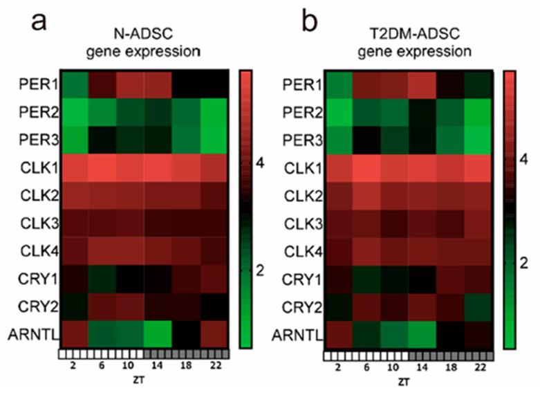 https://cdn.ncbi.nlm.nih.gov/pmc/blobs/cf6e/11641841/ff9c3ce22542/ijms-25-13145-g001.jpg