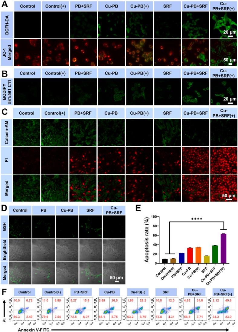 https://cdn.ncbi.nlm.nih.gov/pmc/blobs/cf70/12399192/2aceab2a2b57/gr5.jpg