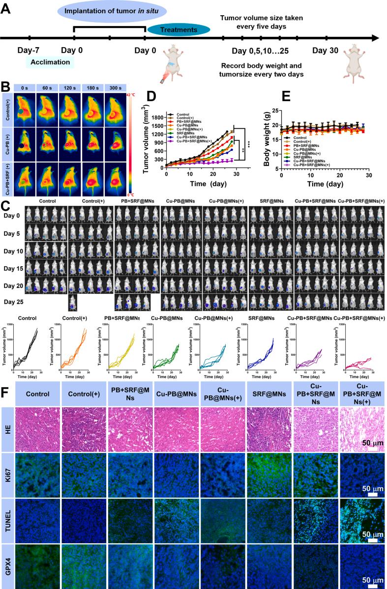 https://cdn.ncbi.nlm.nih.gov/pmc/blobs/cf70/12399192/3342ebf02b14/gr6.jpg