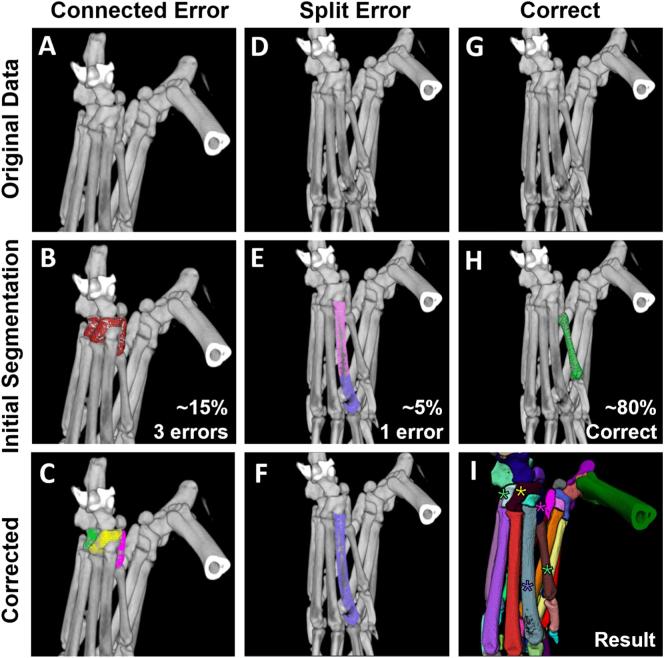https://cdn.ncbi.nlm.nih.gov/pmc/blobs/cf70/8816671/0e0cd422bc93/gr4.jpg