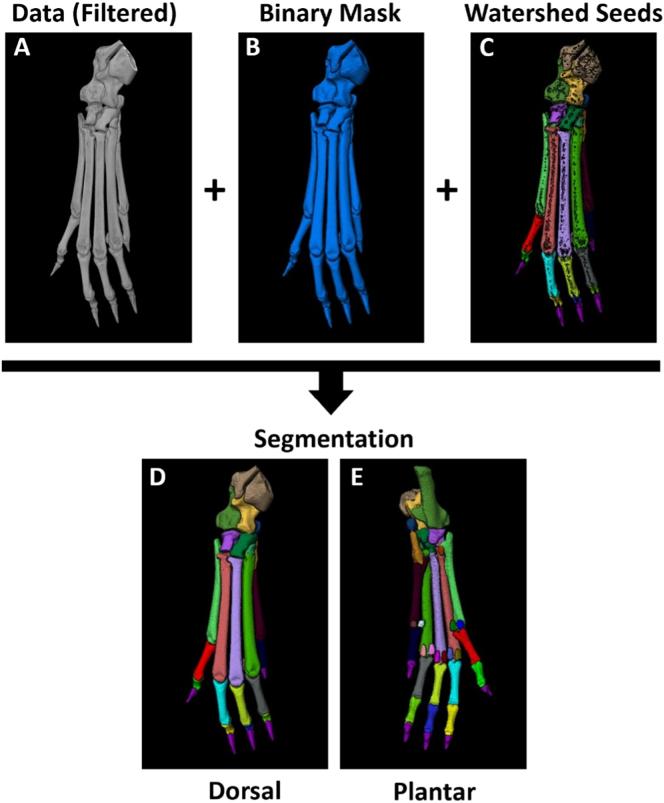 https://cdn.ncbi.nlm.nih.gov/pmc/blobs/cf70/8816671/e92742b4110d/gr2.jpg