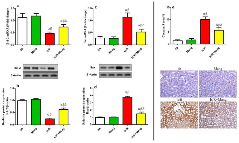 https://cdn.ncbi.nlm.nih.gov/pmc/blobs/cf70/9863472/5a7f077d803e/pharmaceuticals-16-00006-g006.jpg