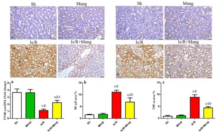 https://cdn.ncbi.nlm.nih.gov/pmc/blobs/cf70/9863472/78609b2b3a17/pharmaceuticals-16-00006-g004.jpg