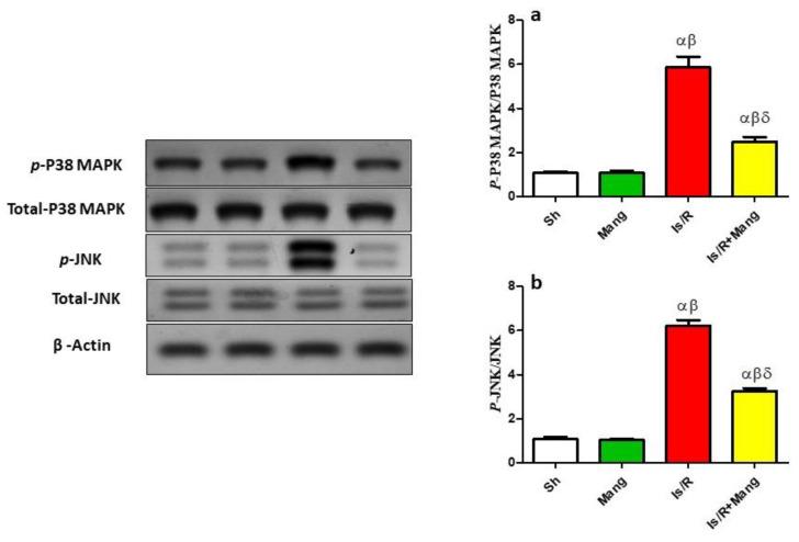 https://cdn.ncbi.nlm.nih.gov/pmc/blobs/cf70/9863472/a43ca69f32cd/pharmaceuticals-16-00006-g005.jpg