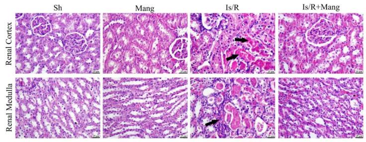 https://cdn.ncbi.nlm.nih.gov/pmc/blobs/cf70/9863472/c955ae67e152/pharmaceuticals-16-00006-g008.jpg