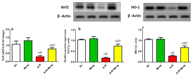 https://cdn.ncbi.nlm.nih.gov/pmc/blobs/cf70/9863472/eaa4de1dddf0/pharmaceuticals-16-00006-g001.jpg