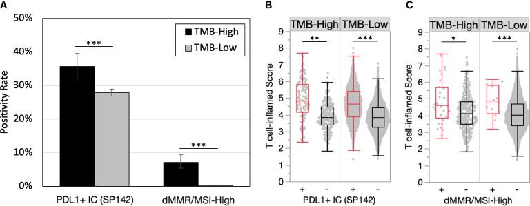 https://cdn.ncbi.nlm.nih.gov/pmc/blobs/cf71/10457522/4f79528d8ba2/fonc-13-1235902-g002.jpg
