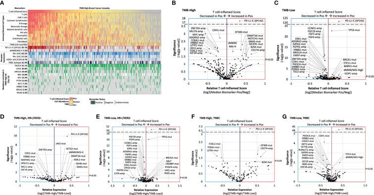 https://cdn.ncbi.nlm.nih.gov/pmc/blobs/cf71/10457522/a50acf3a91db/fonc-13-1235902-g005.jpg
