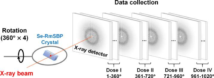 https://cdn.ncbi.nlm.nih.gov/pmc/blobs/cf71/10859252/9cd3f5c17ddc/gr1.jpg