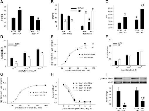 https://cdn.ncbi.nlm.nih.gov/pmc/blobs/cf72/3379648/abe8223e17fd/1848fig3.jpg