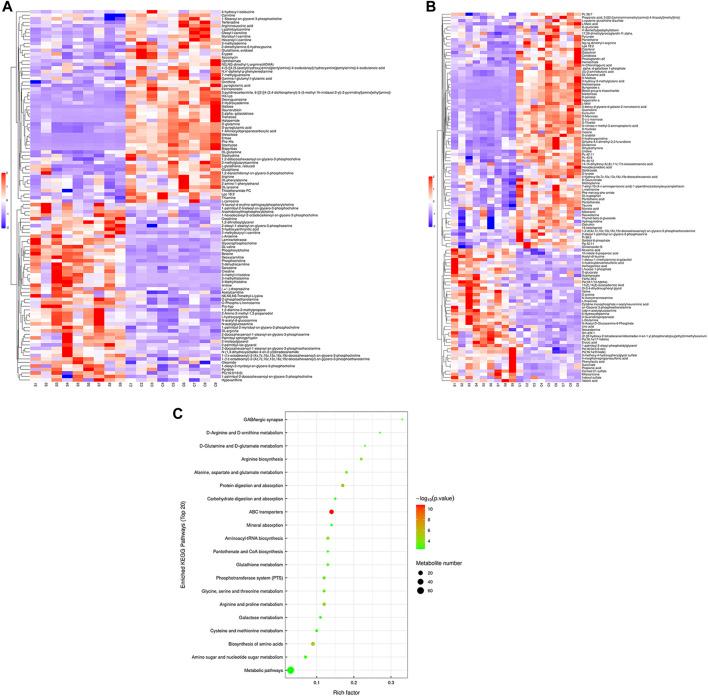 https://cdn.ncbi.nlm.nih.gov/pmc/blobs/cf74/10244579/ba5f1997cc4a/fmolb-10-1156310-g004.jpg