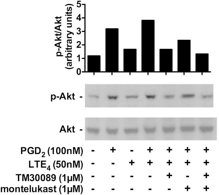 https://cdn.ncbi.nlm.nih.gov/pmc/blobs/cf76/4418751/45332d27a6dd/fx3.jpg