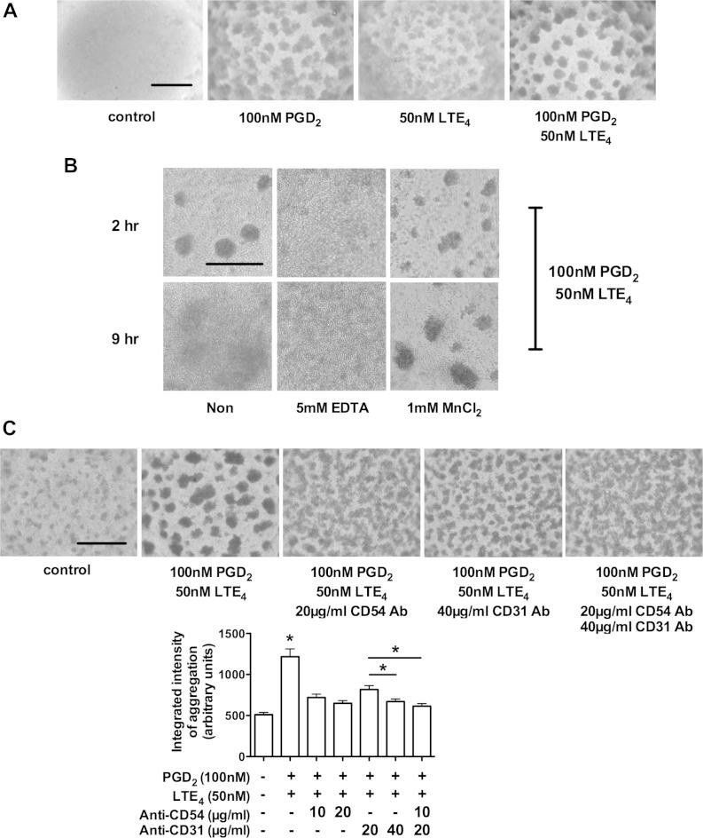 https://cdn.ncbi.nlm.nih.gov/pmc/blobs/cf76/4418751/ad52e7019eaf/gr3.jpg