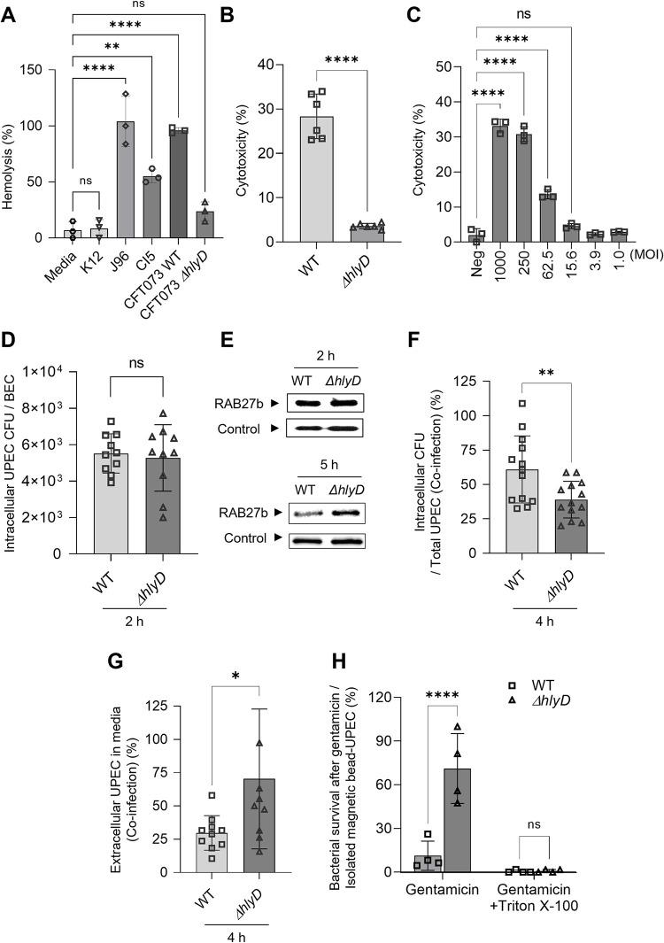 https://cdn.ncbi.nlm.nih.gov/pmc/blobs/cf77/10204954/e1c4740fef5e/ppat.1011388.g003.jpg