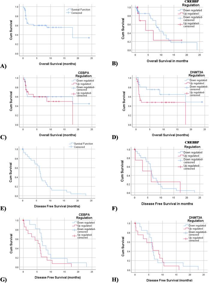 https://cdn.ncbi.nlm.nih.gov/pmc/blobs/cf77/11992167/96b0598b5985/41598_2025_93024_Fig4_HTML.jpg