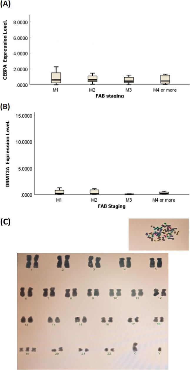 https://cdn.ncbi.nlm.nih.gov/pmc/blobs/cf77/11992167/994426f4802c/41598_2025_93024_Fig1_HTML.jpg