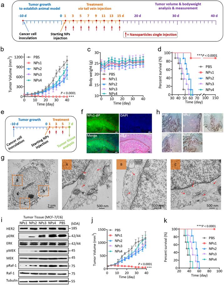 https://cdn.ncbi.nlm.nih.gov/pmc/blobs/cf77/7147967/57fb75151da8/nihms-1544871-f0005.jpg