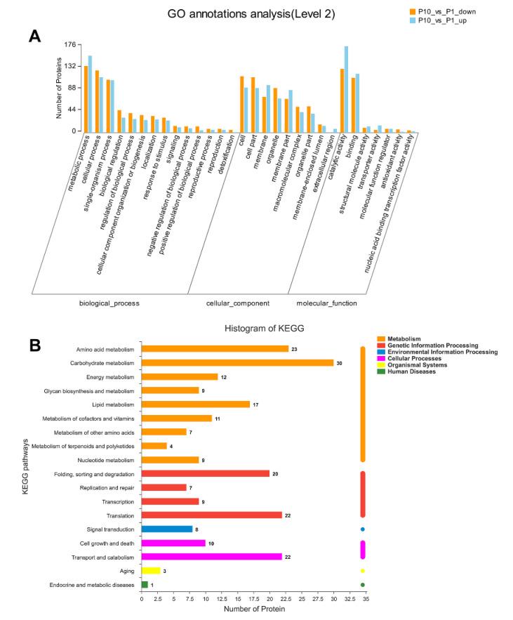 https://cdn.ncbi.nlm.nih.gov/pmc/blobs/cf7a/7660624/22e14bd4b0c7/molecules-25-04920-g002.jpg