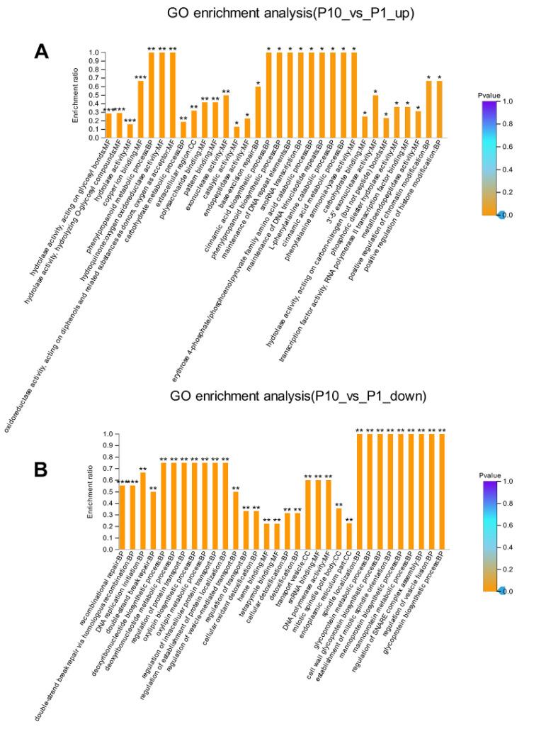 https://cdn.ncbi.nlm.nih.gov/pmc/blobs/cf7a/7660624/3649854ae921/molecules-25-04920-g003.jpg