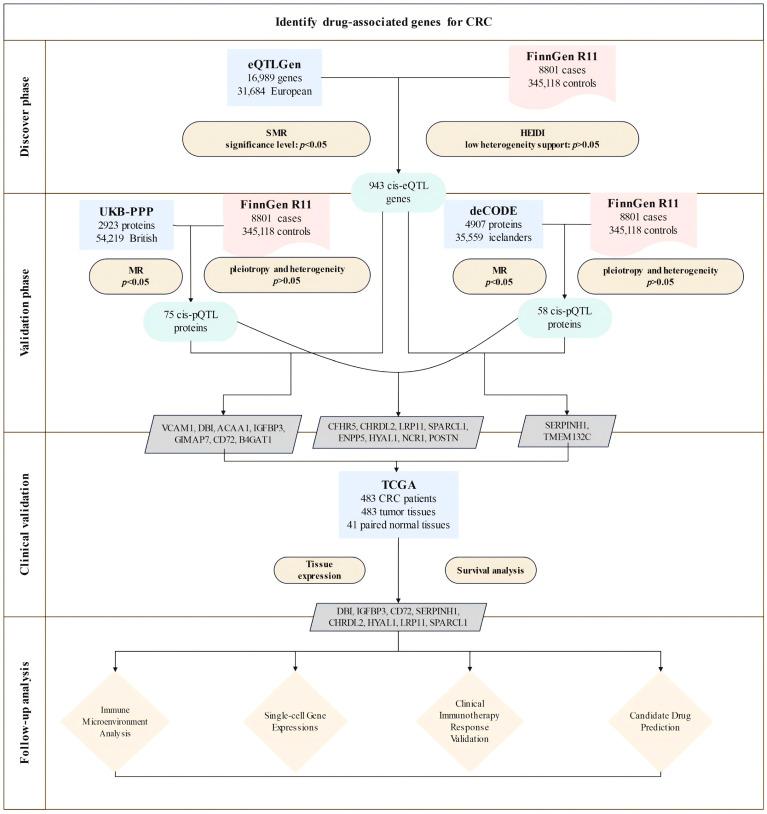 https://cdn.ncbi.nlm.nih.gov/pmc/blobs/cf7b/12109284/2f57f3fda39e/biomedicines-13-01115-g001.jpg
