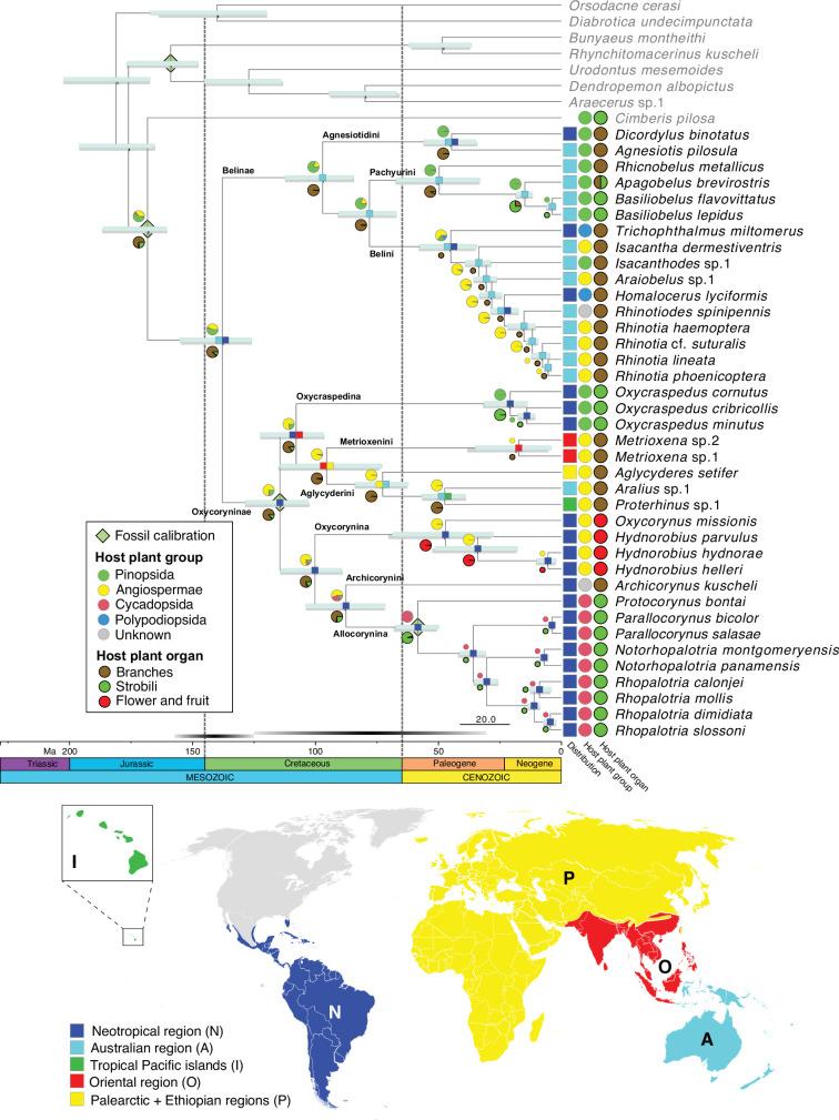 https://cdn.ncbi.nlm.nih.gov/pmc/blobs/cf7c/11637463/2146cea4a708/elife-97552-fig2.jpg