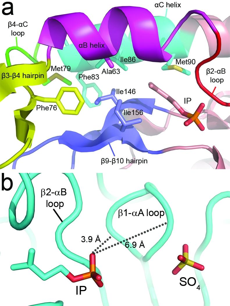 https://cdn.ncbi.nlm.nih.gov/pmc/blobs/cf7e/2887675/493f67998290/cb-2010-000313_0004.jpg