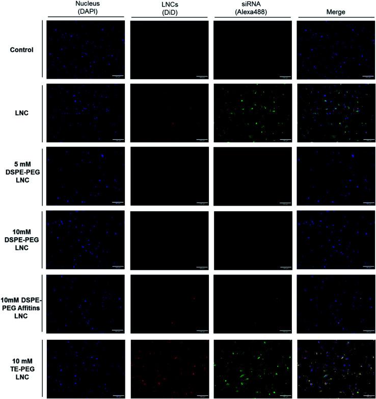 https://cdn.ncbi.nlm.nih.gov/pmc/blobs/cf7e/9070605/d667aaa95175/c9ra03668g-f4.jpg