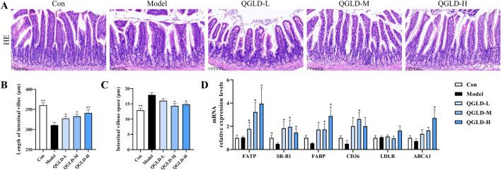 https://cdn.ncbi.nlm.nih.gov/pmc/blobs/cf7f/11979125/3430560e0617/fphar-16-1575280-g004.jpg