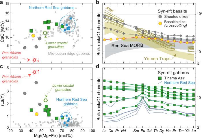 https://cdn.ncbi.nlm.nih.gov/pmc/blobs/cf7f/12259940/4d2c0fe0c895/41467_2025_61598_Fig2_HTML.jpg