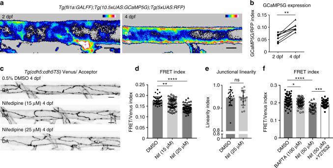 https://cdn.ncbi.nlm.nih.gov/pmc/blobs/cf81/5680264/3b39da8df98a/41467_2017_1325_Fig5_HTML.jpg