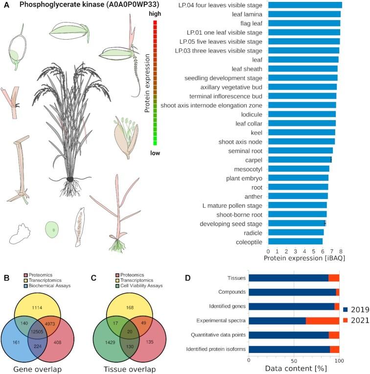 https://cdn.ncbi.nlm.nih.gov/pmc/blobs/cf81/8728203/1d7ad4978b1e/gkab1026fig7.jpg