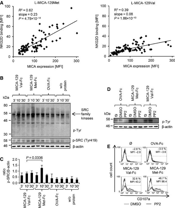 https://cdn.ncbi.nlm.nih.gov/pmc/blobs/cf85/4644379/48eaf85963da/emmm0007-1480-f2.jpg