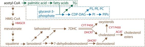 https://cdn.ncbi.nlm.nih.gov/pmc/blobs/cf85/5659038/21c3060c136d/12915_2017_442_Fig2_HTML.jpg