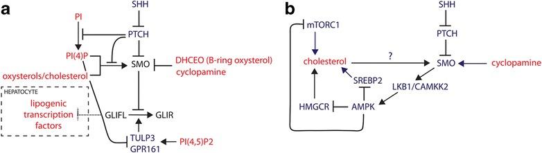 https://cdn.ncbi.nlm.nih.gov/pmc/blobs/cf85/5659038/d463951a44b3/12915_2017_442_Fig5_HTML.jpg