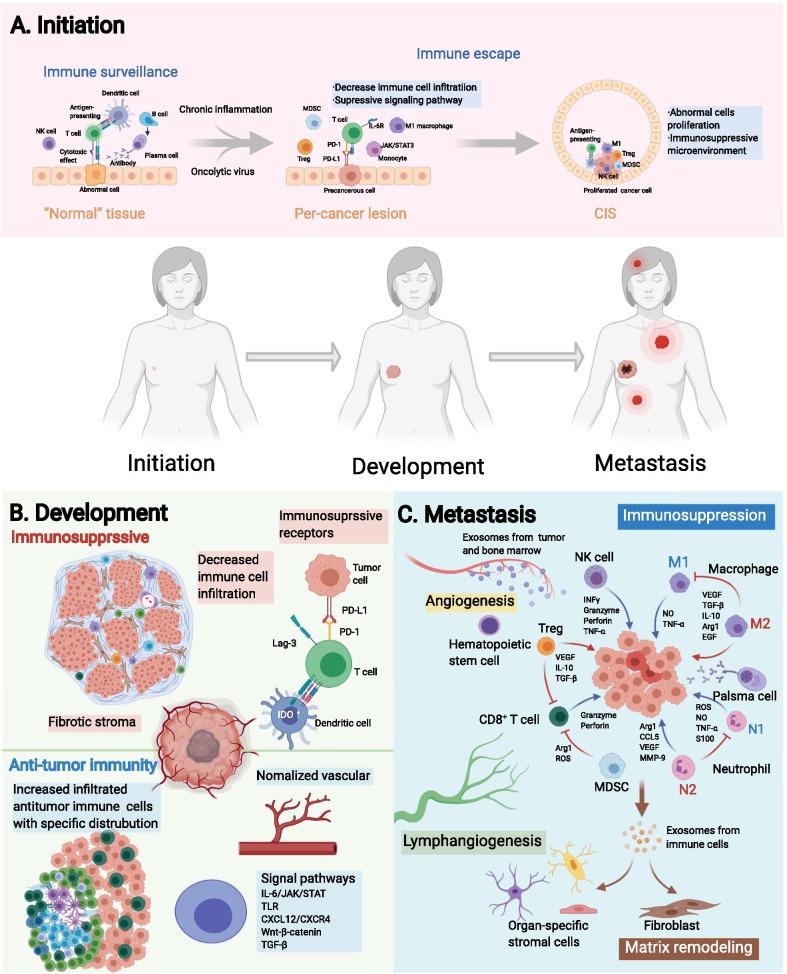 https://cdn.ncbi.nlm.nih.gov/pmc/blobs/cf85/8234625/de9f58ce63c5/13045_2021_1103_Fig4_HTML.jpg