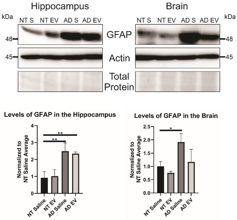 https://cdn.ncbi.nlm.nih.gov/pmc/blobs/cf86/8344012/dfca7bfbb2fd/thnov11p8129g005.jpg