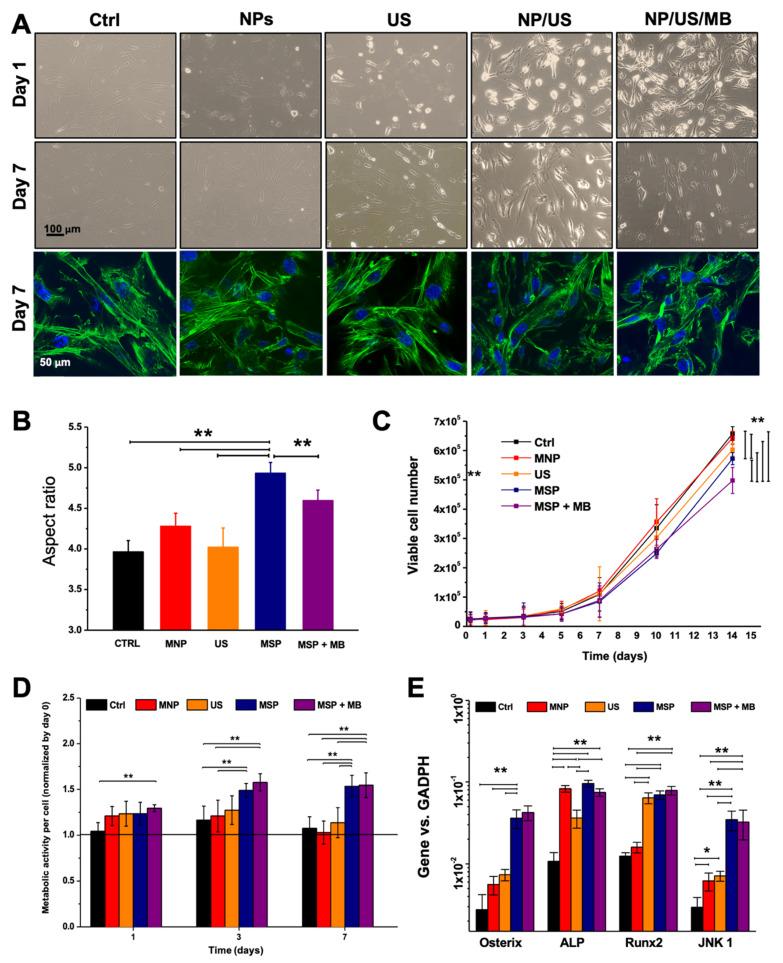 https://cdn.ncbi.nlm.nih.gov/pmc/blobs/cf86/8432646/66efe9352c22/materials-14-04877-g002.jpg