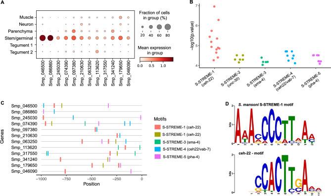 https://cdn.ncbi.nlm.nih.gov/pmc/blobs/cf8f/10933418/f42f29b71479/41598_2024_55790_Fig4_HTML.jpg