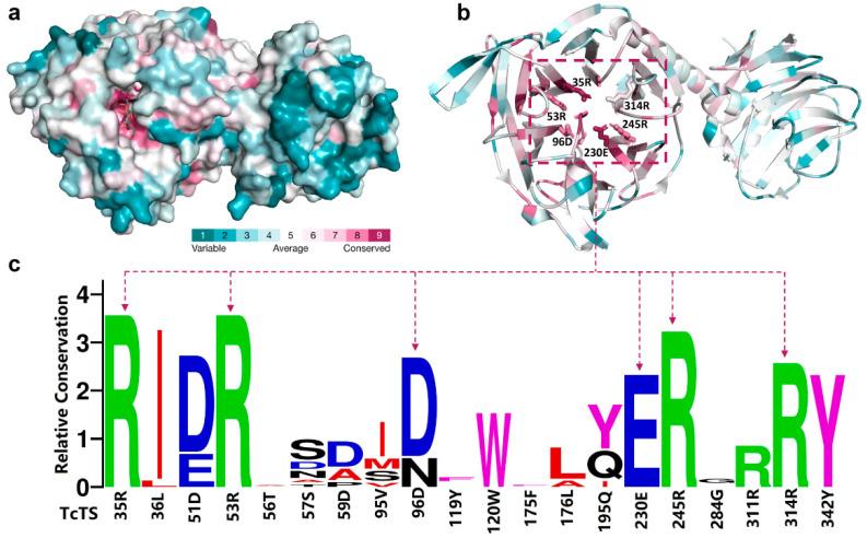 https://cdn.ncbi.nlm.nih.gov/pmc/blobs/cf90/10095477/32194de39f25/ijms-24-06830-g006.jpg